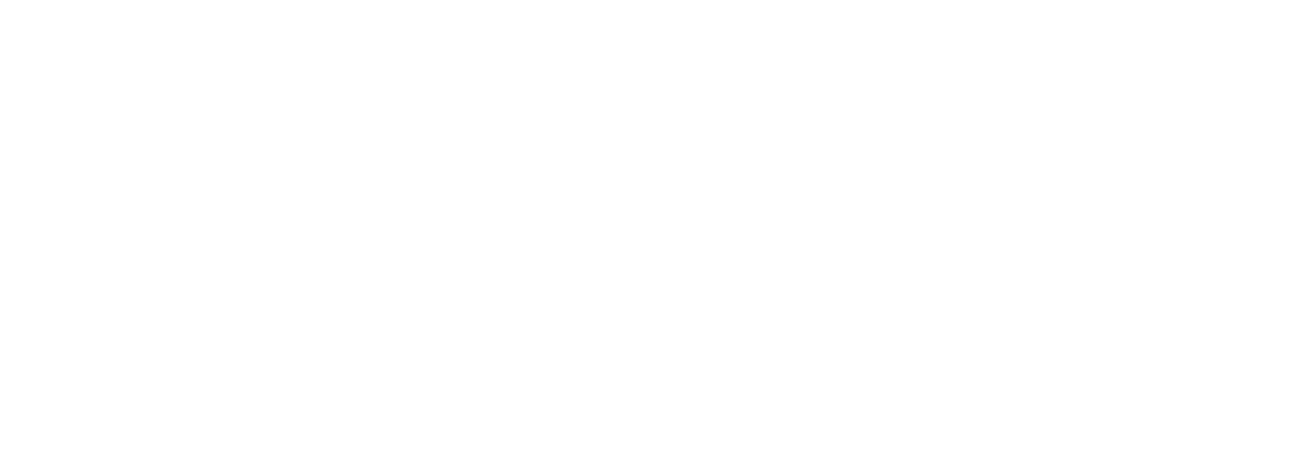 logo.alt